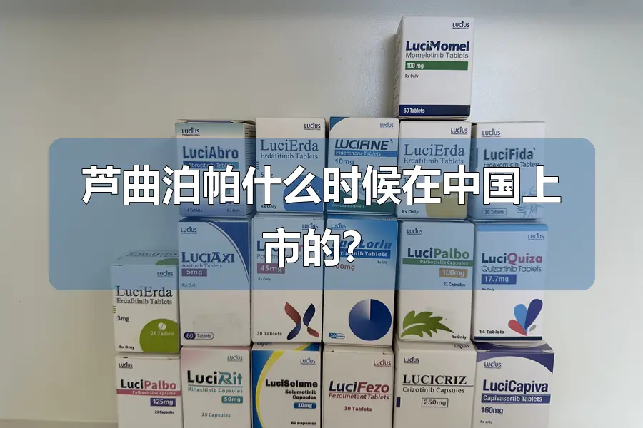 芦曲泊帕什么时候在中国上市的?